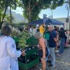 Feira de Mudas – Vasinhos esgotam em tempo recorde!